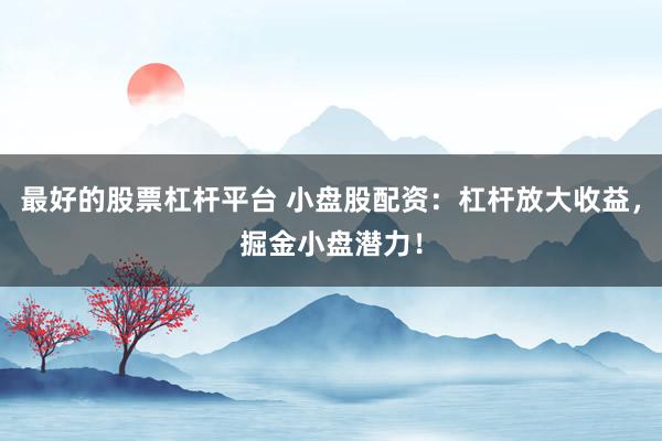 最好的股票杠杆平台 小盘股配资：杠杆放大收益，掘金小盘潜力！