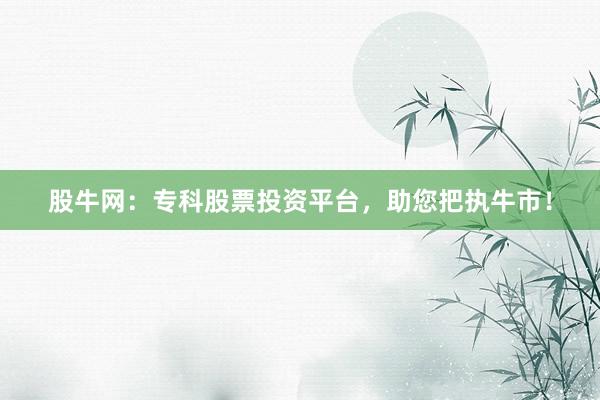 股牛网：专科股票投资平台，助您把执牛市！