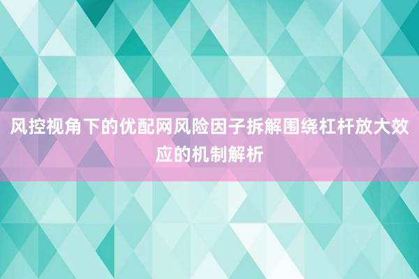 风控视角下的优配网风险因子拆解围绕杠杆放大效应的机制解析