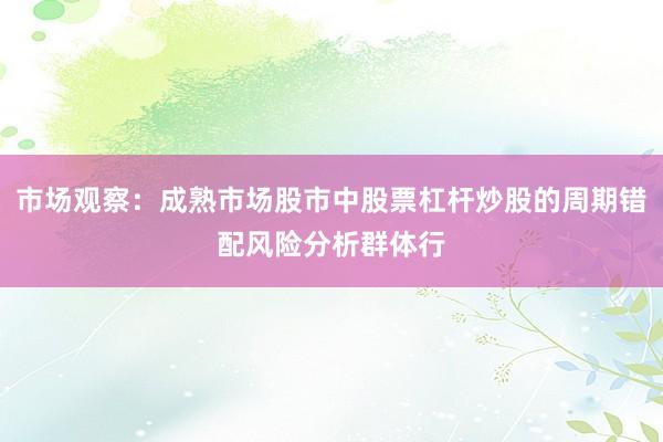 市场观察：成熟市场股市中股票杠杆炒股的周期错配风险分析群体行
