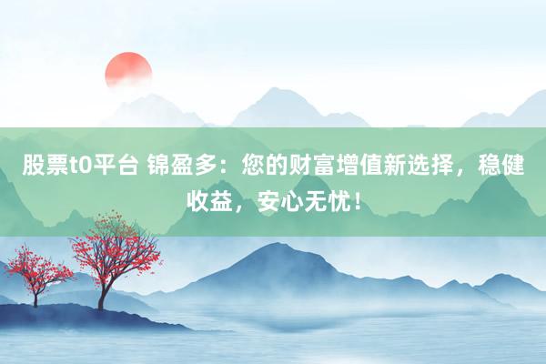 股票t0平台 锦盈多：您的财富增值新选择，稳健收益，安心无忧！